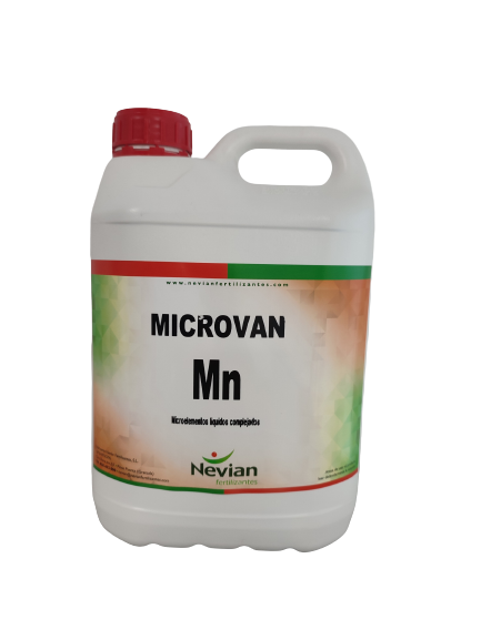 Microvan-Mn-imagen