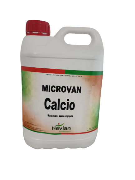 microvan-calcio-imagen