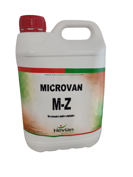 microvan-m-z-imagen