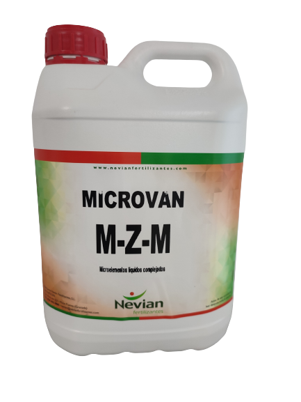 microvan-m-z-m-imagen