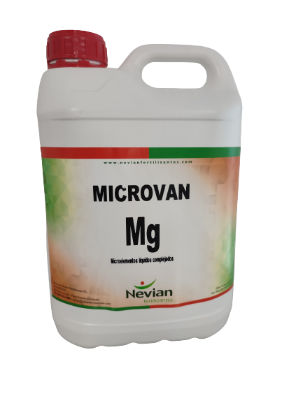 microvan-mg-imagen