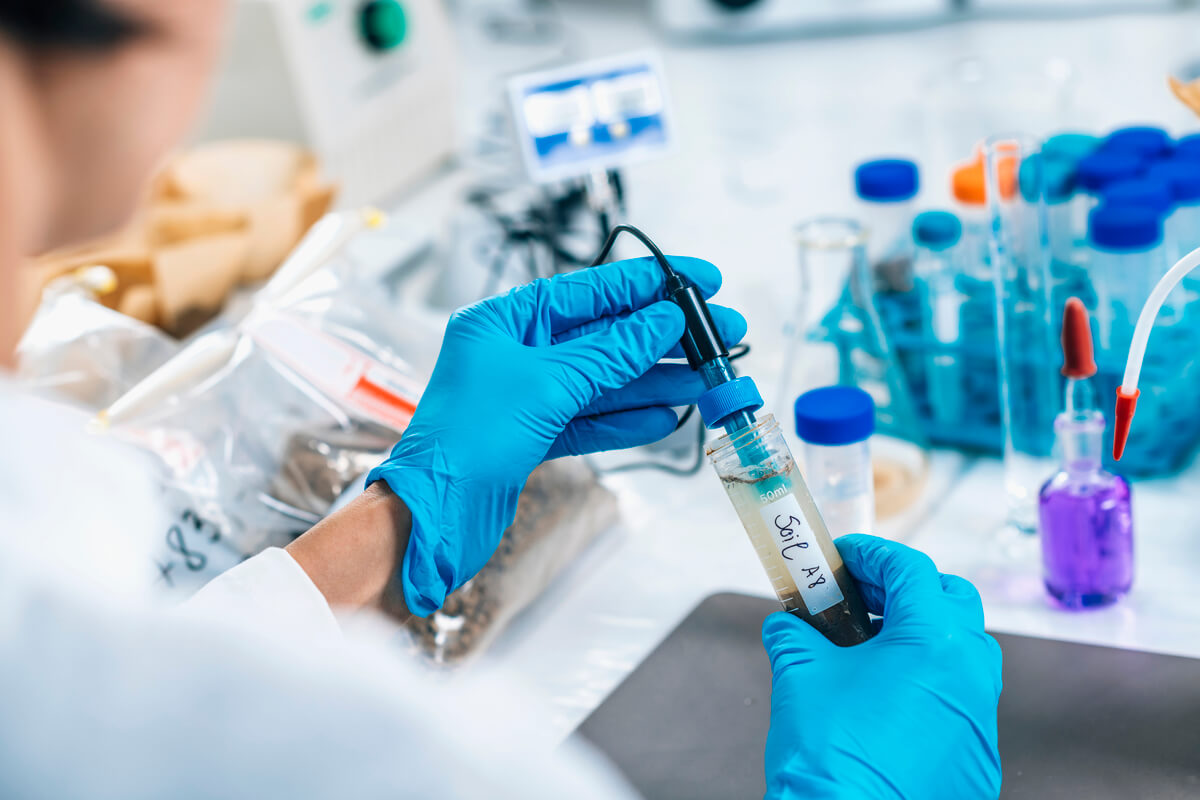 Cómo medir los nutrientes del suelo para saber qué fertilizante usar