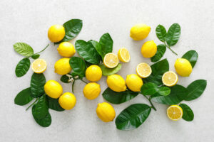 Abono para limonero Técnicas de abonado probadas para mantener los limoneros radiantes