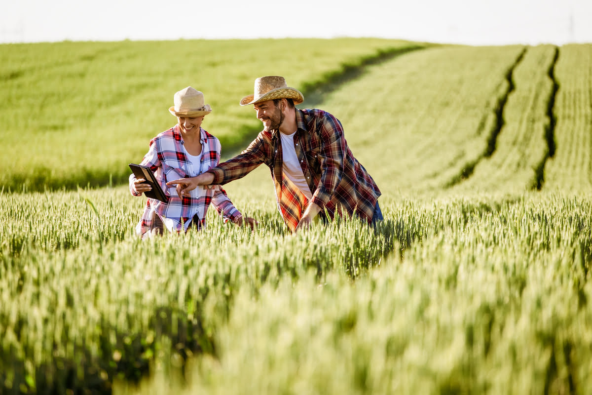 Todo lo que debes saber sobre los bioestimulantes agrícolas