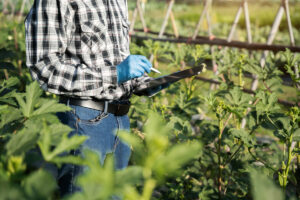 Principales características del ácido fosfórico agrícola