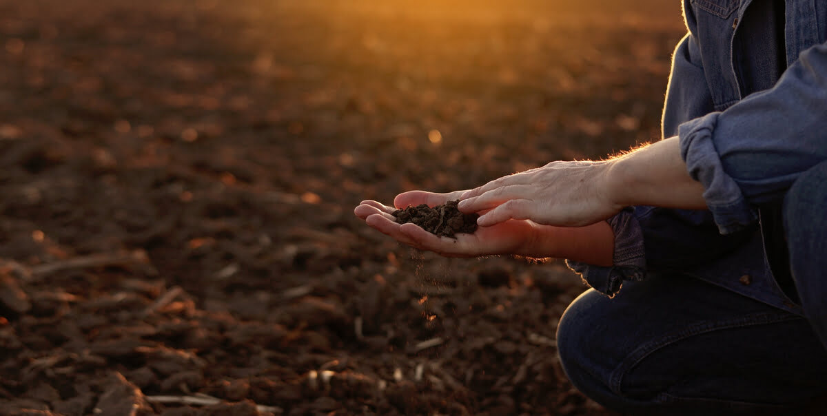 Agricultura regenerativa prácticas para mejorar la salud del suelo