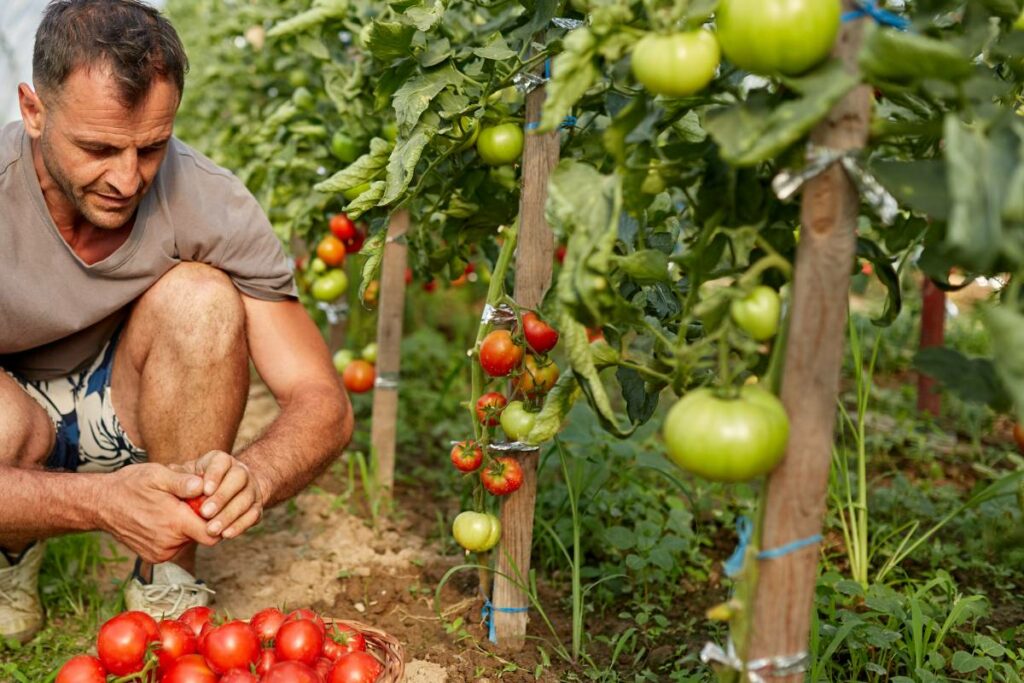 fertilizantes con calcio