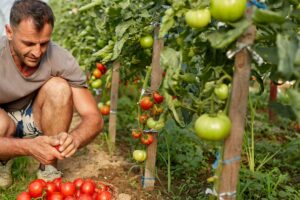 fertilizantes con calcio