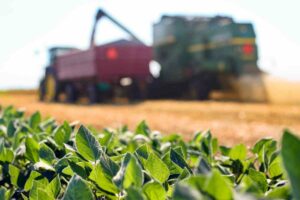 Micronutrientes agrícolas, qué son y por qué son esenciales