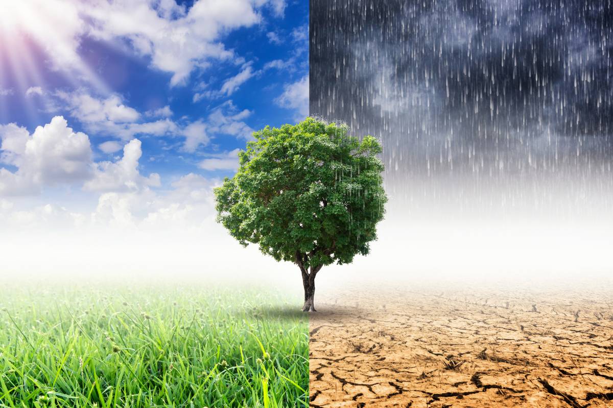 temperatura y fertilizantes