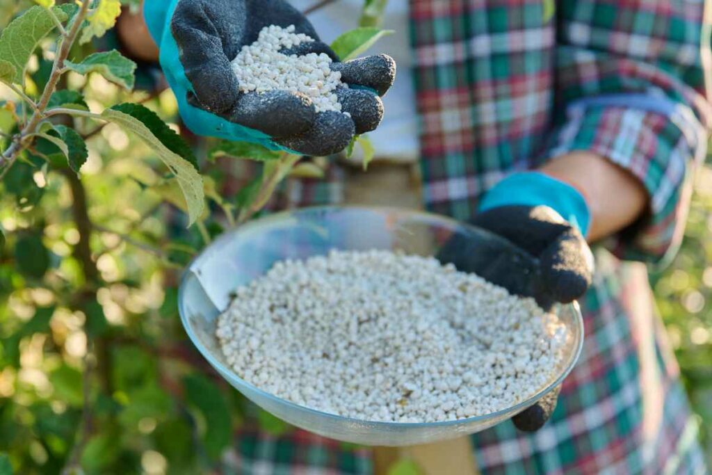 Fertilizante granulado vs líquido