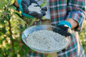 Fertilizante granulado vs líquido