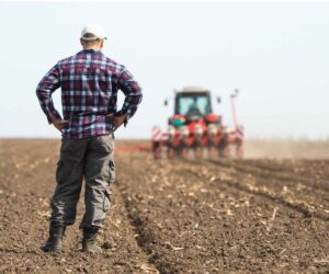 Beneficios de los ácidos húmicos