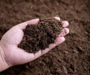 Enmiendas orgánicas para suelo cómo mejorar la estructura y fertilidad de forma natural