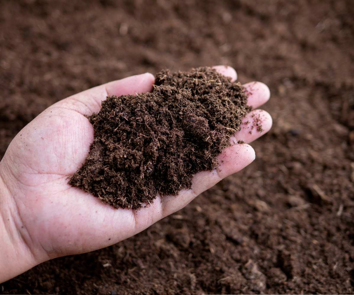 Enmiendas orgánicas para suelo cómo mejorar la estructura y fertilidad de forma natural