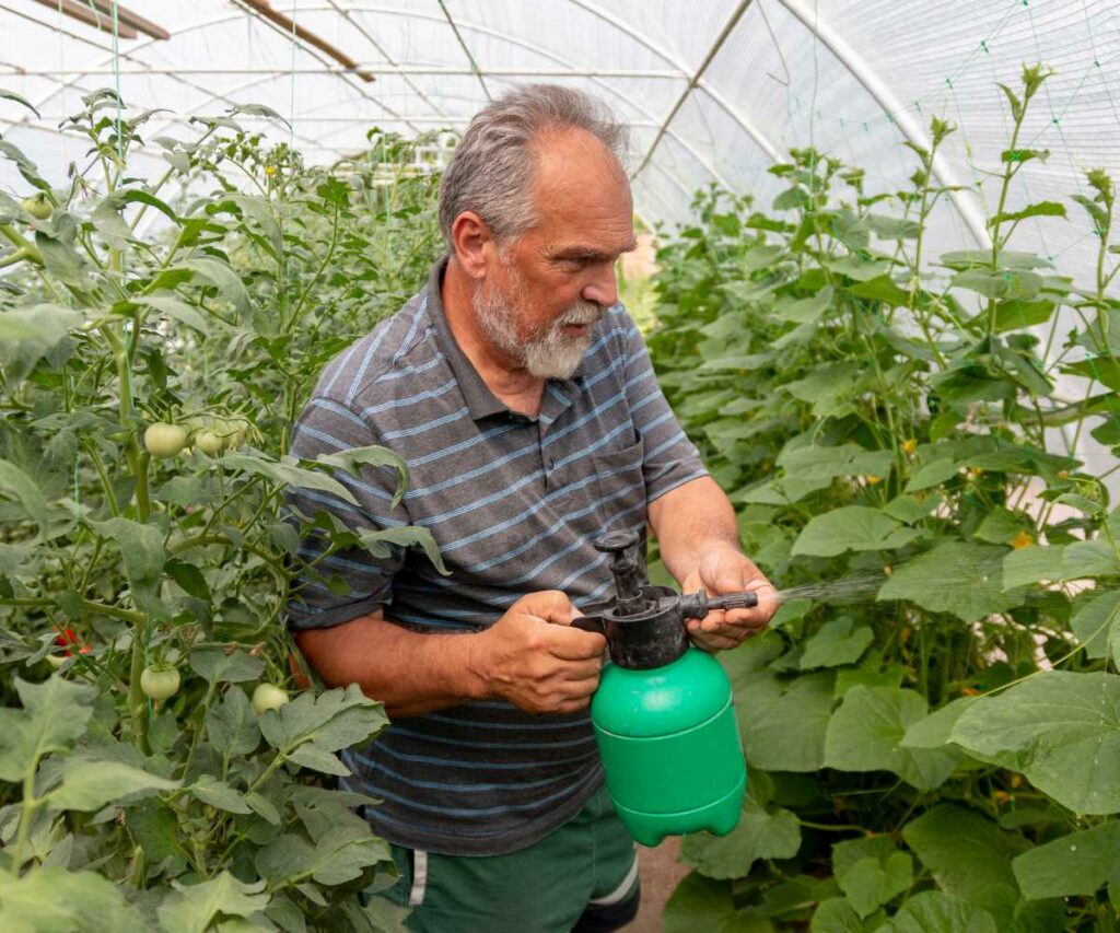 nutrición foliar con fertilizantes foliares