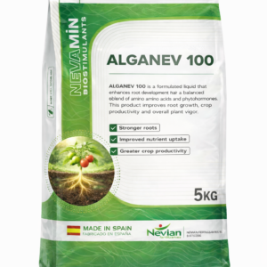 ALGANEV 100