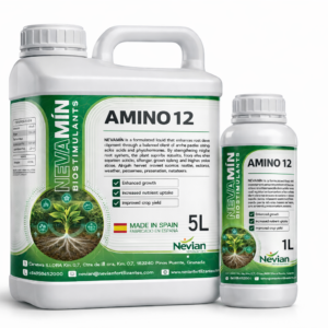 AMINO 12