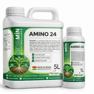 AMINO 24
