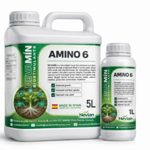 AMINO 6