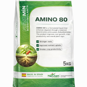AMINO 80