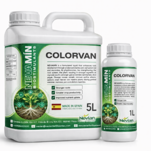 COLORVAN
