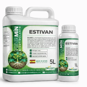 ESTIVAN