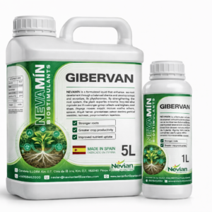 GIBERVAN