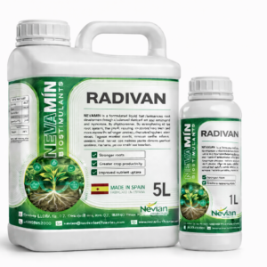 RADIVAN
