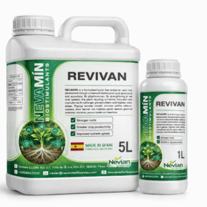 REVIVAN
