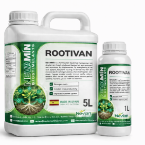 ROOTIVAN