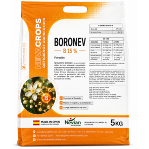 BORONEV