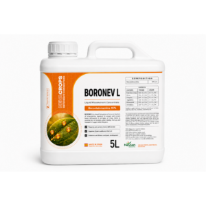 BORONEV L