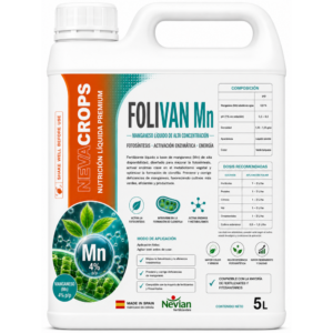 FOLIVAN Mn