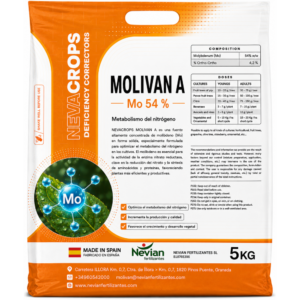 MOLIVAN A