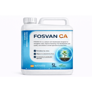 FOSVAN CA