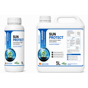 SUN PROTECT
